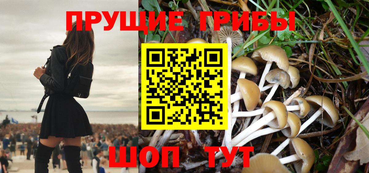 Галлюциногенные грибы мухоморы  Галлюциногенные грибы Psilocybine cubensis  Вход с VPN  Новоалександровск 