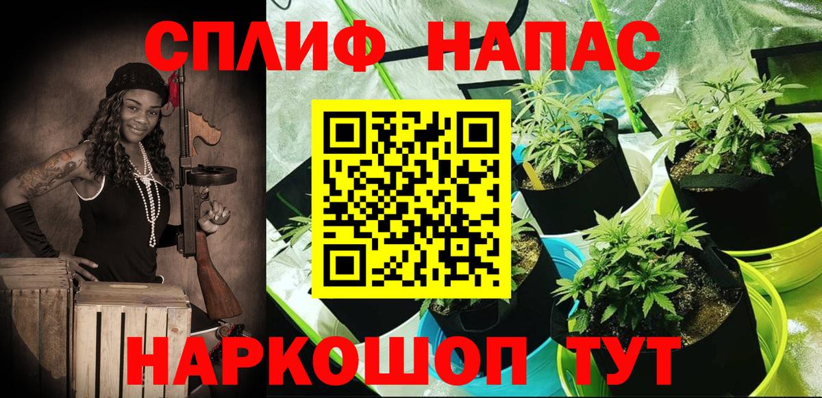 Конопля SATIVA & INDICA Новоалександровск